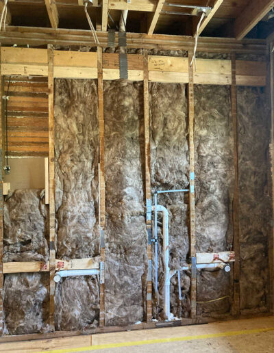 insulation - Primary and Main Bathroom Remodel in Madison, WI